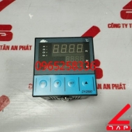 Bộ điều khiển nhiệt độ DY29B02-PT100