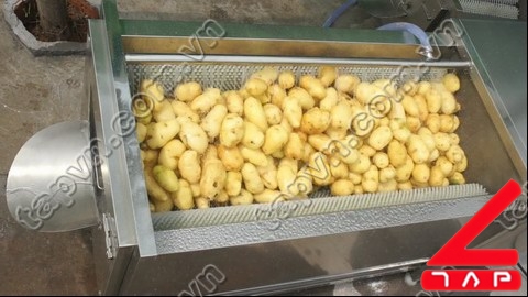 Máy rửa khoai tây và gọt vỏ 