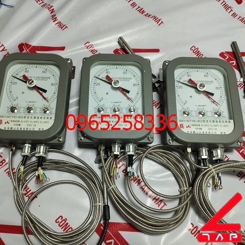 Đồng hồ nhiệt độ BWY(WTYK)-803A(TH)