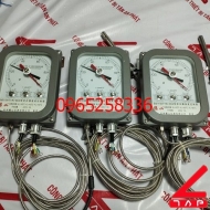 Đồng hồ nhiệt độ BWY(WTYK)-803A(TH)