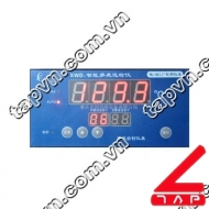 Đồng hồ đo nhiệt độ XWD 22